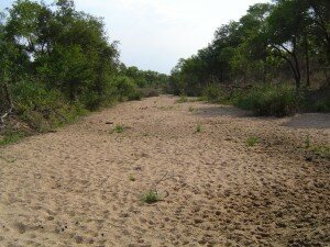 Dry River Bed