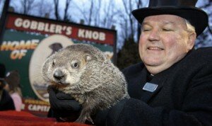 Groundhog-Day-Animal-3