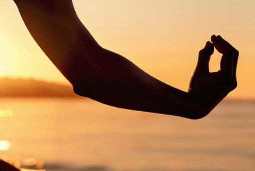 Complete guide to joint and mobility care.